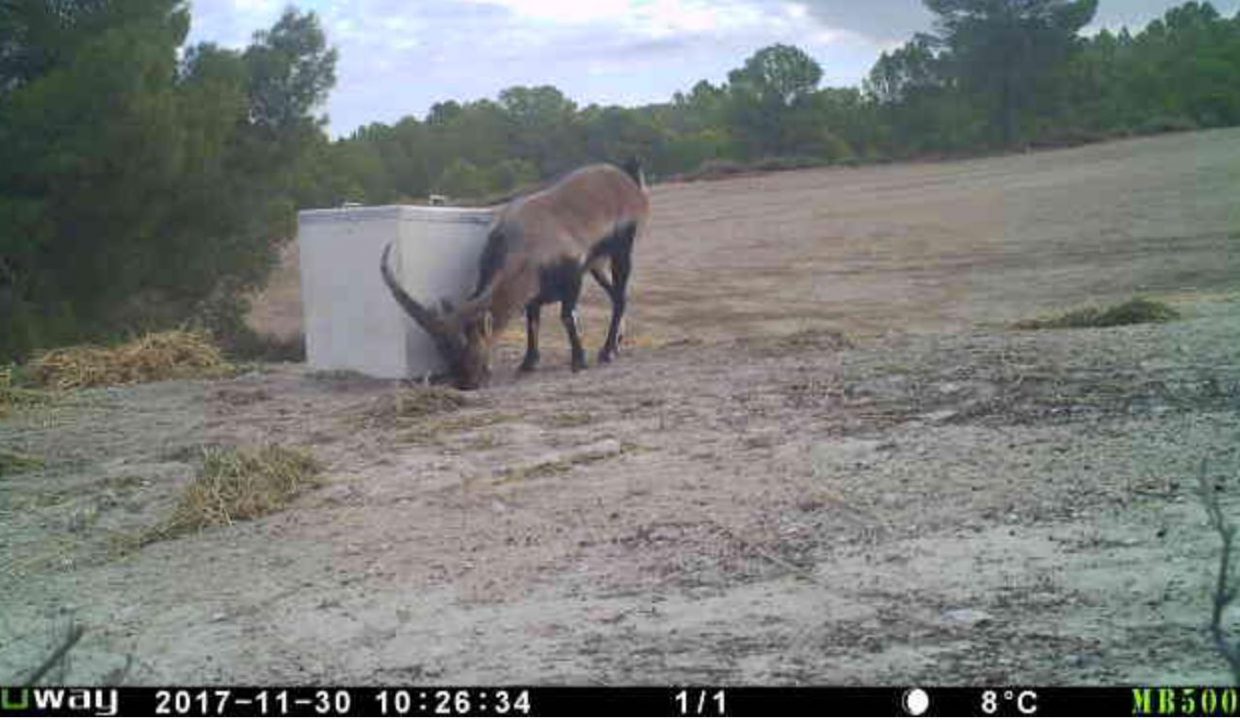 invicto-inmo-construc (3)