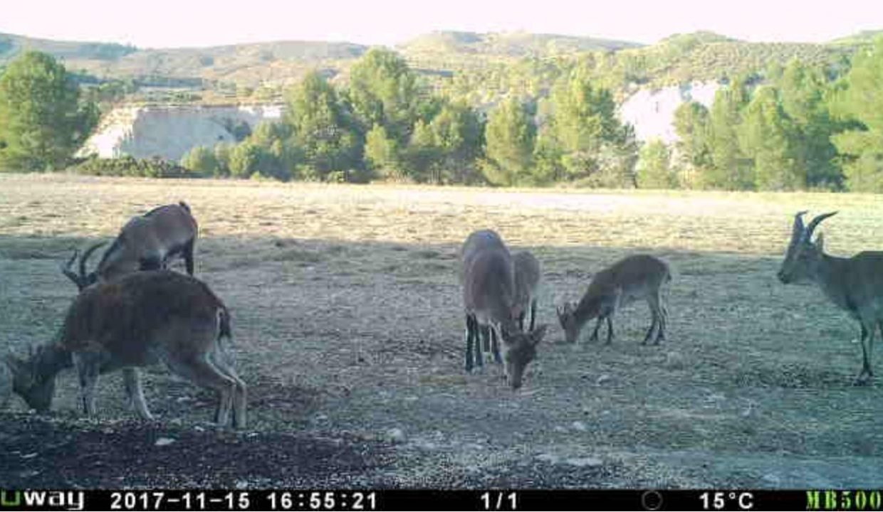 invicto-inmo-construc (4)