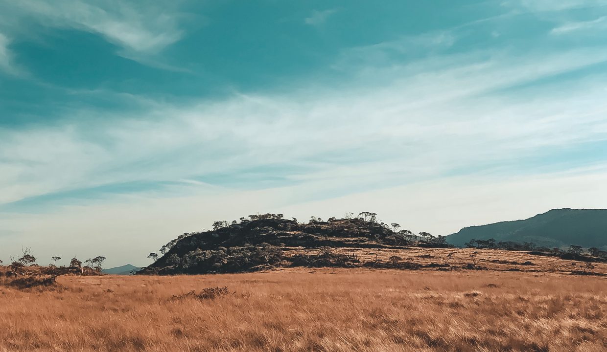 invicto-inmo-construct-coto-de-caza (3)