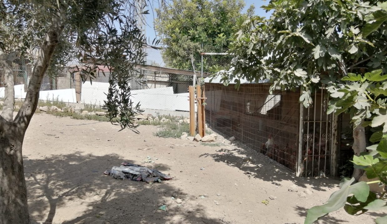 invictoinmoconstruct (14)