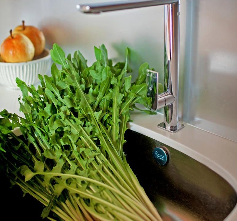 invictoinmoconstruct-arquitectura-organica (18)