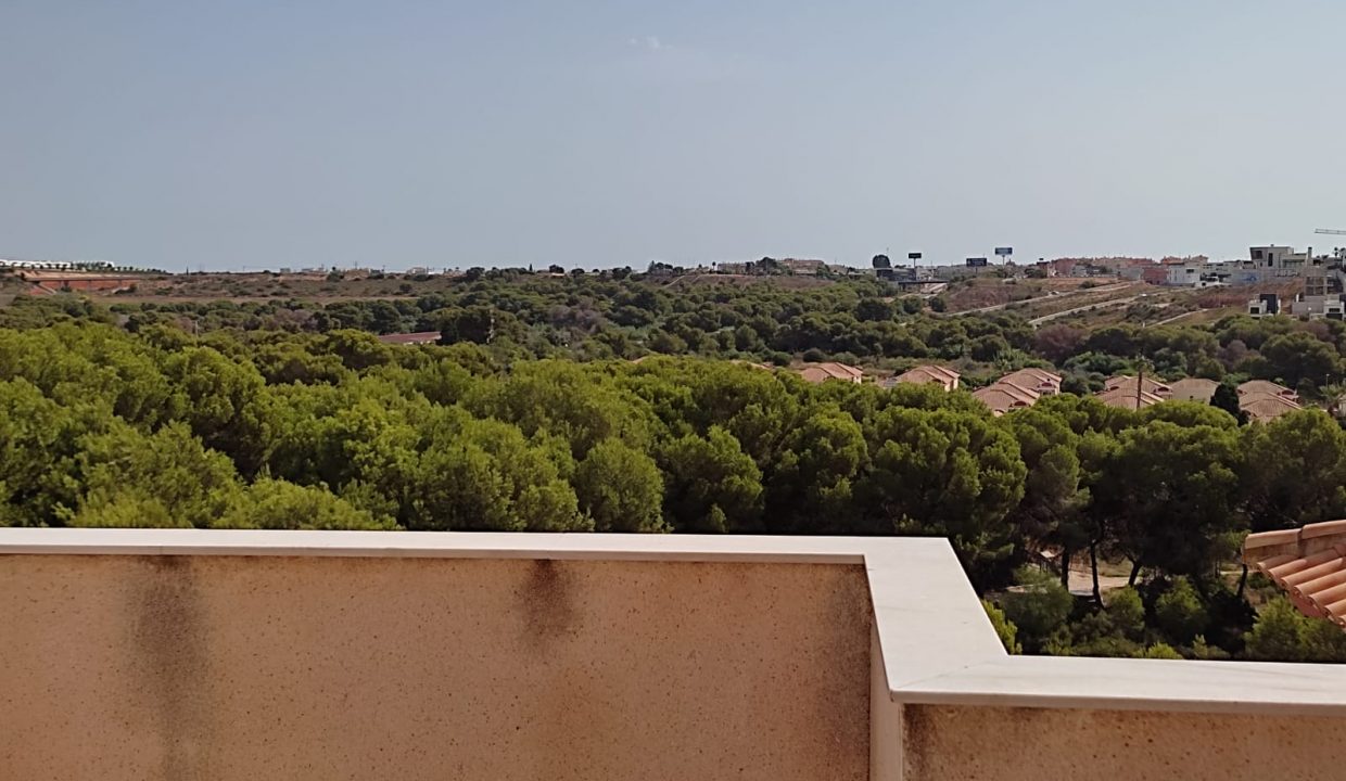 bungalow-campoamor-invicto3