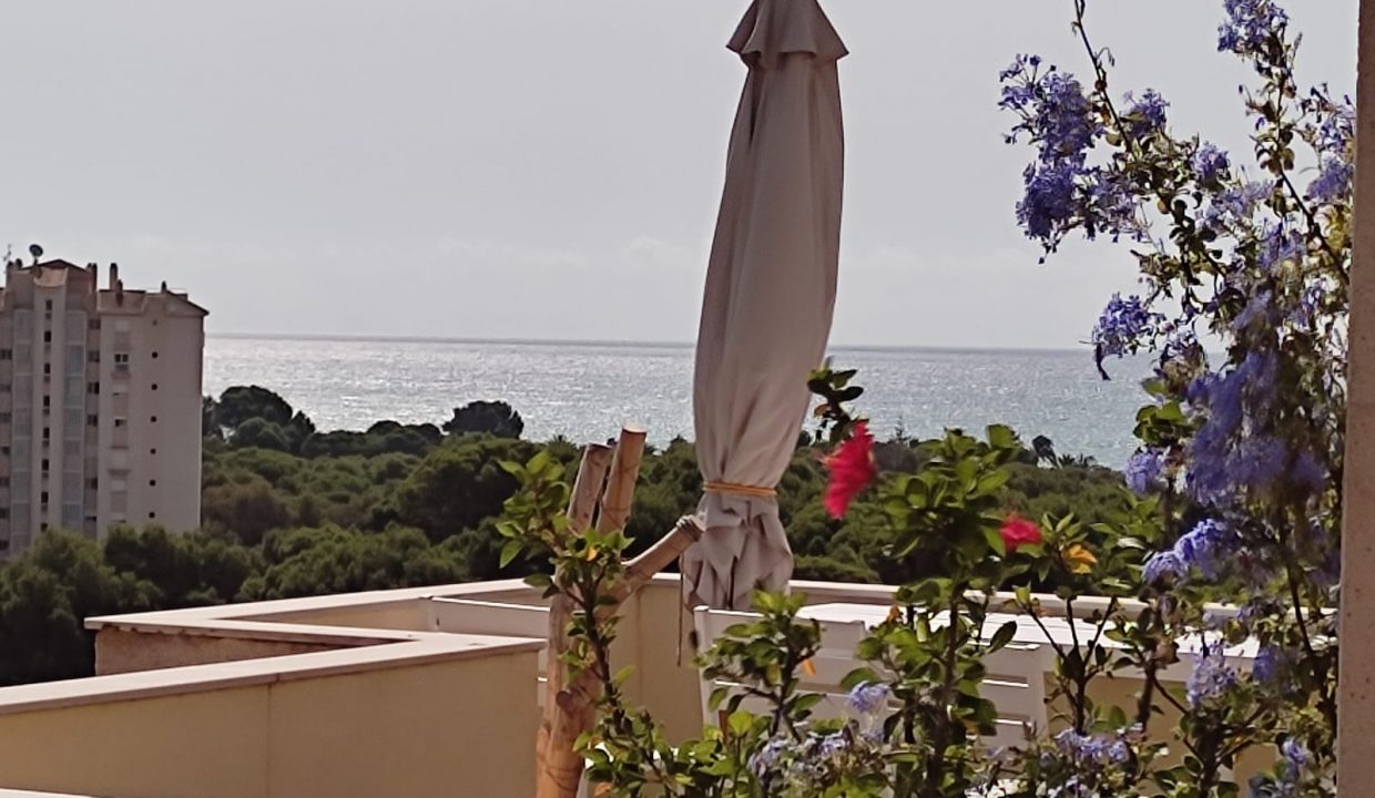 bungalow-campoamor-invicto4